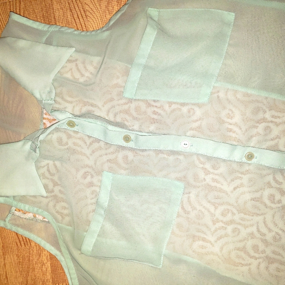 Vintage Sexy Sheer Western Top in Seafoam Green